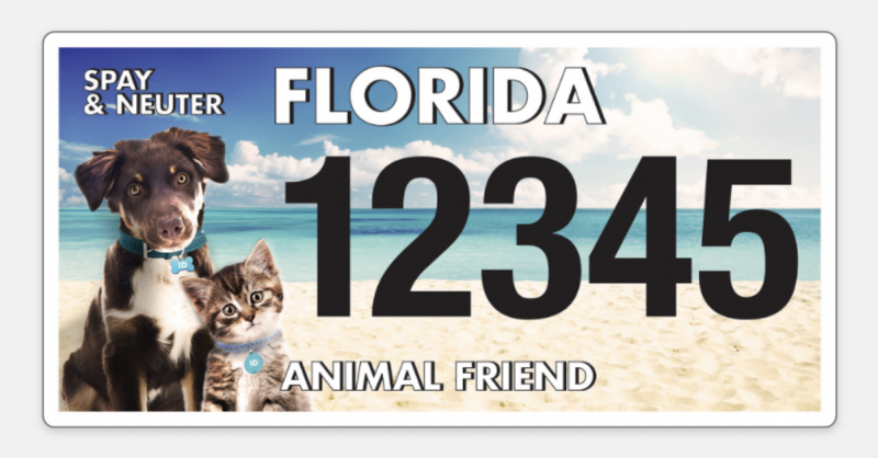 Florida Animal Friend Specialty Plate